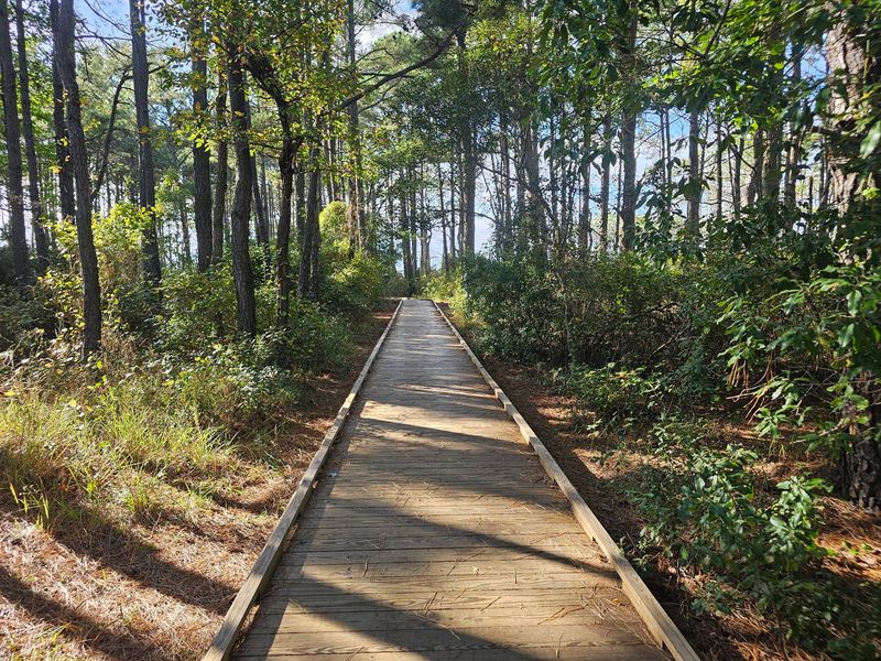 Trails, Biking, And Fishing By The Bay