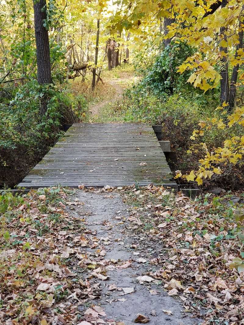 Trails, Bridges, and a Creek Valley Trails, Bridges, and a Creek Valley