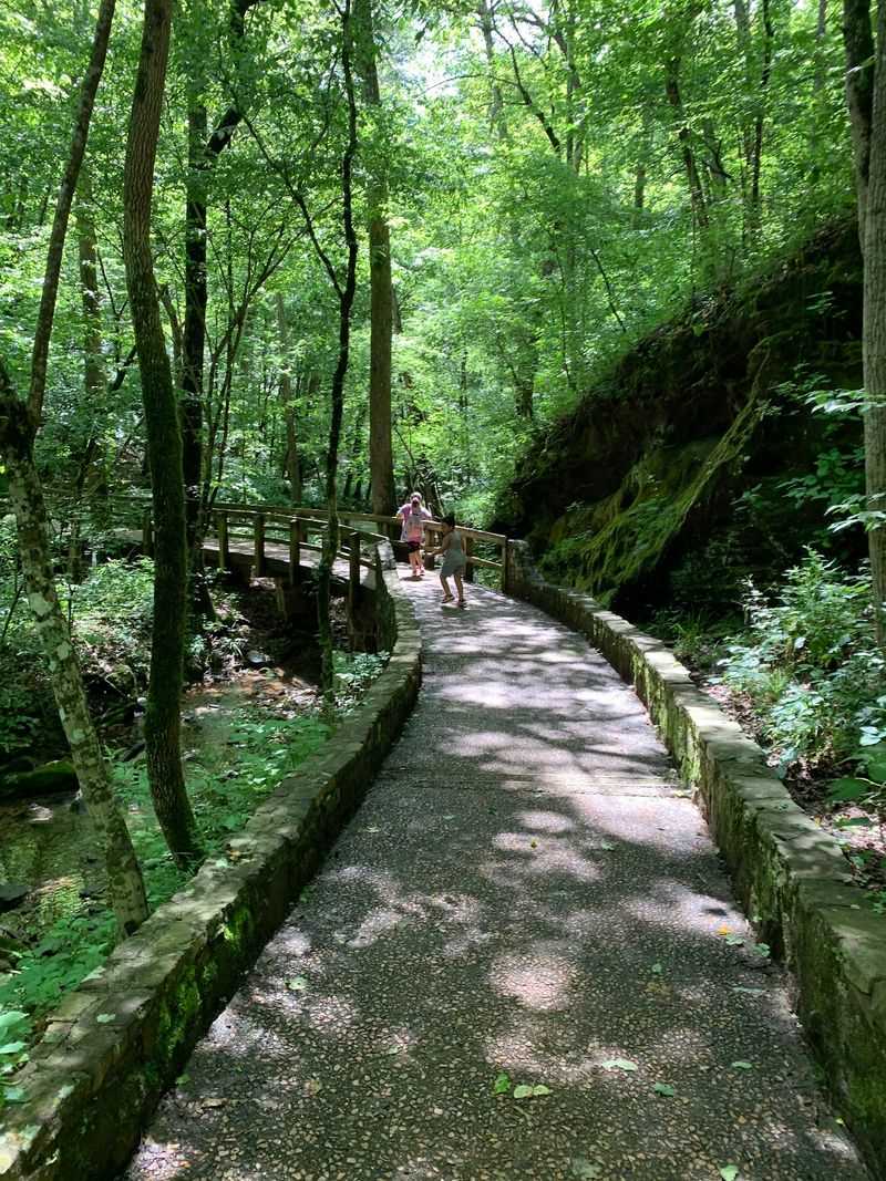 Trails For Easy Strolls And Bigger Challenges