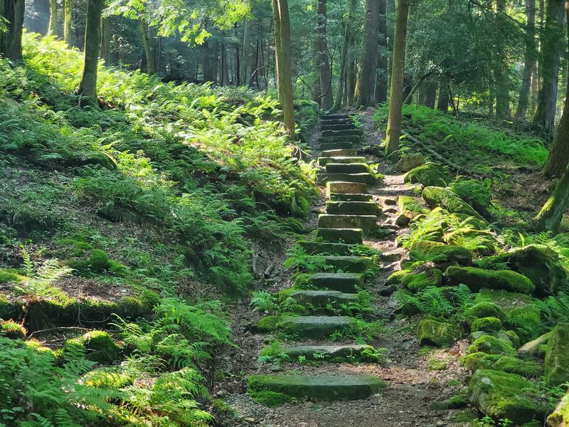 Trails For Every Kind Of Hiker Trails For Every Kind Of Hiker