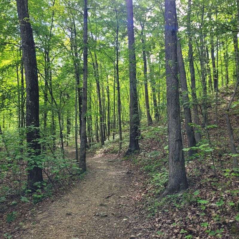 Trails For Every Kind Of Hiker