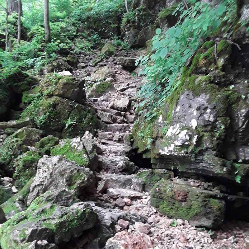 Trails For The Ambitious Hiker Trails For The Ambitious Hiker