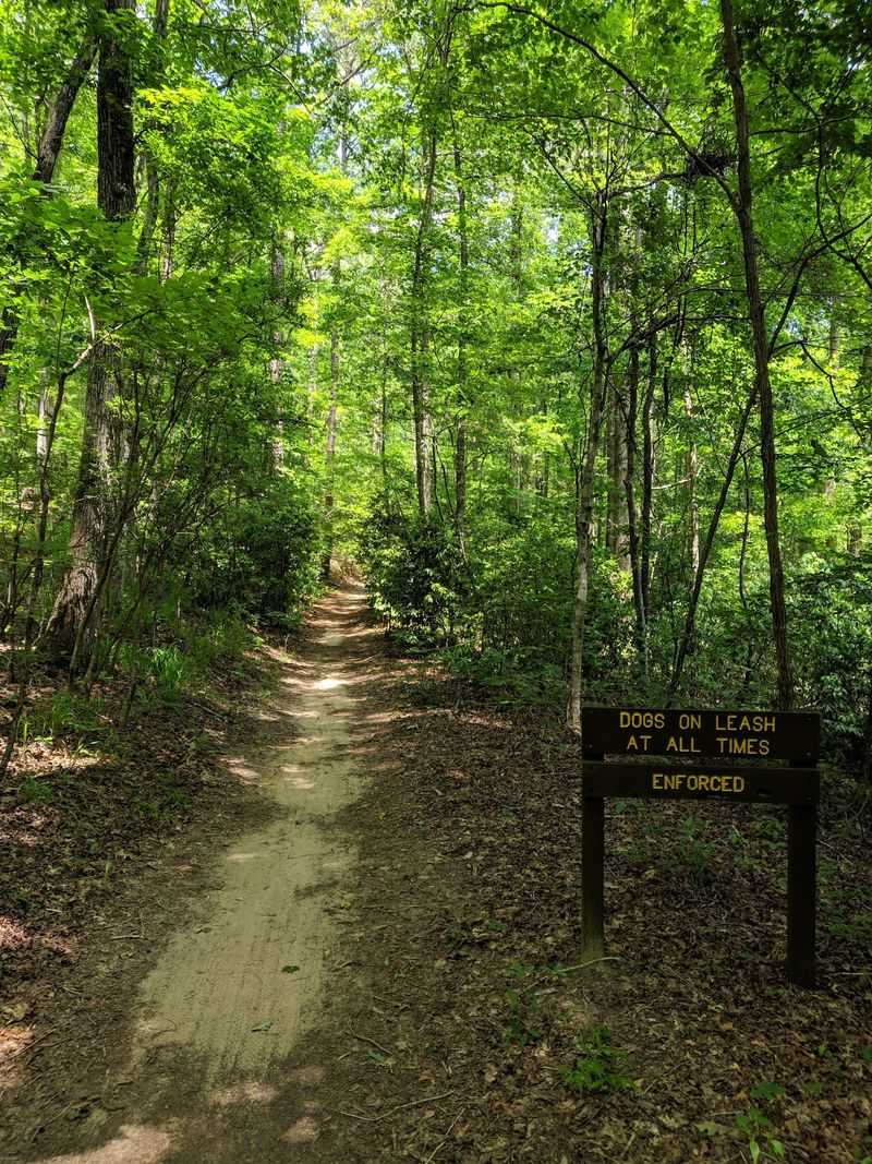 Trails Made For Hiking And Mountain Biking Trails Made For Hiking And Mountain Biking