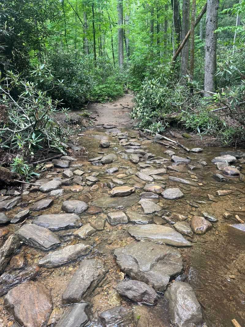 Trails Marked With Honest Difficulty