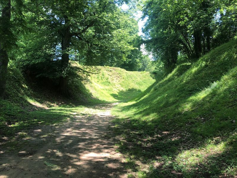 Trails, Playground, and Room to Roam
