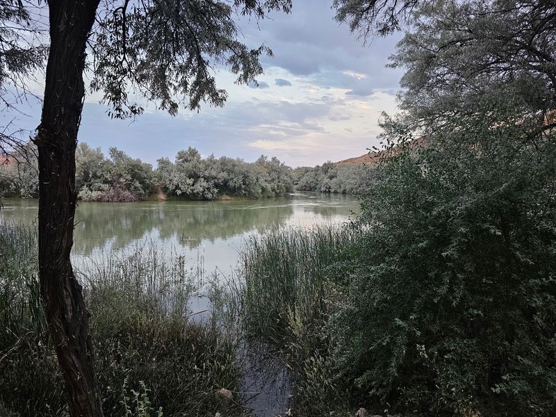 Trails, Shoreline Walks, And Wildlife