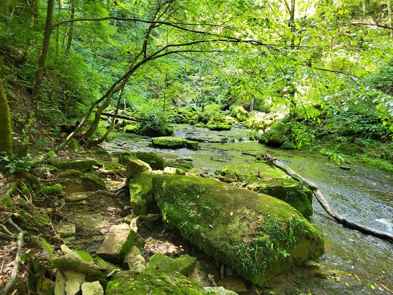 Trails That Keep You Guessing Trails That Keep You Guessing