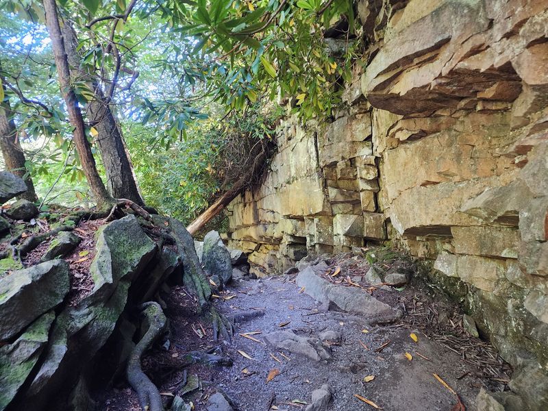 Trails That Lead to More Waterfalls