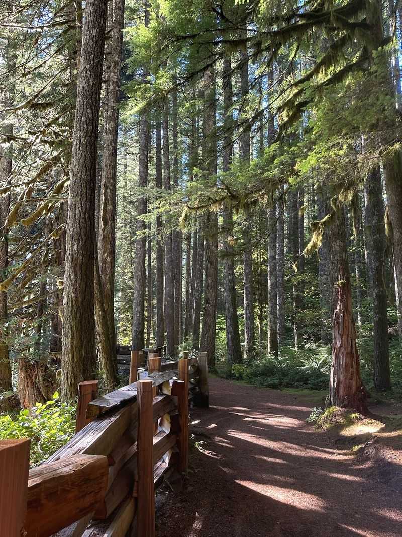 Trails That Link Lower, Middle, and Upper Falls