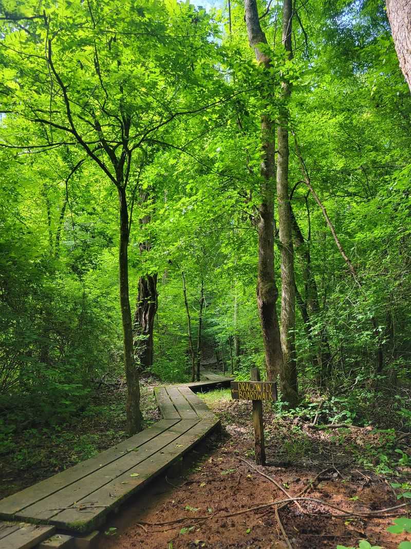 Trails That Range From Easy to Strenuous