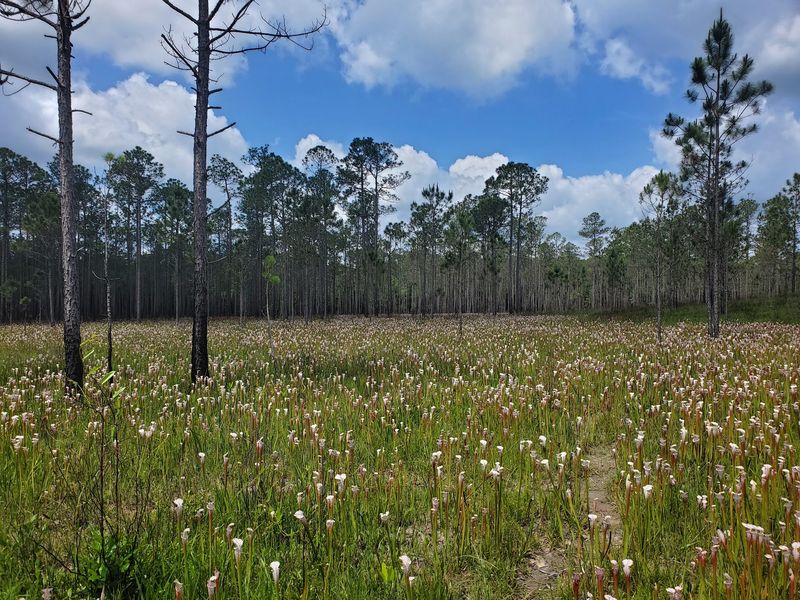 Trails That Range From Three Minutes to Four Miles