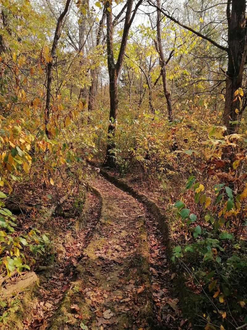 Trails That Run Longer Than You Expect