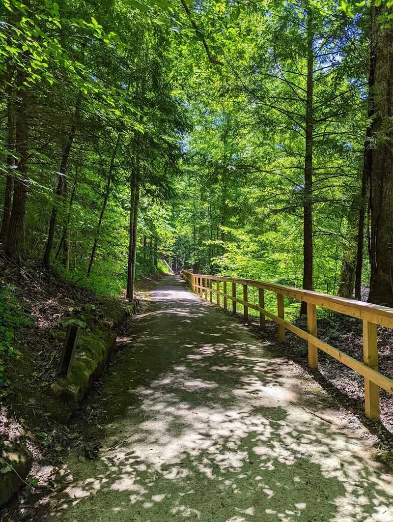 Trails That Stretch For Miles