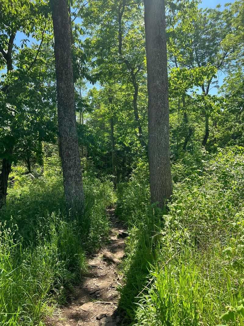 Trails That Test Your Sense Of Direction Trails That Test Your Sense Of Direction