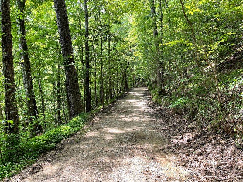 Trails That Trace the Chunky River
