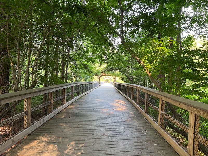 Trails That Welcome Every Pace