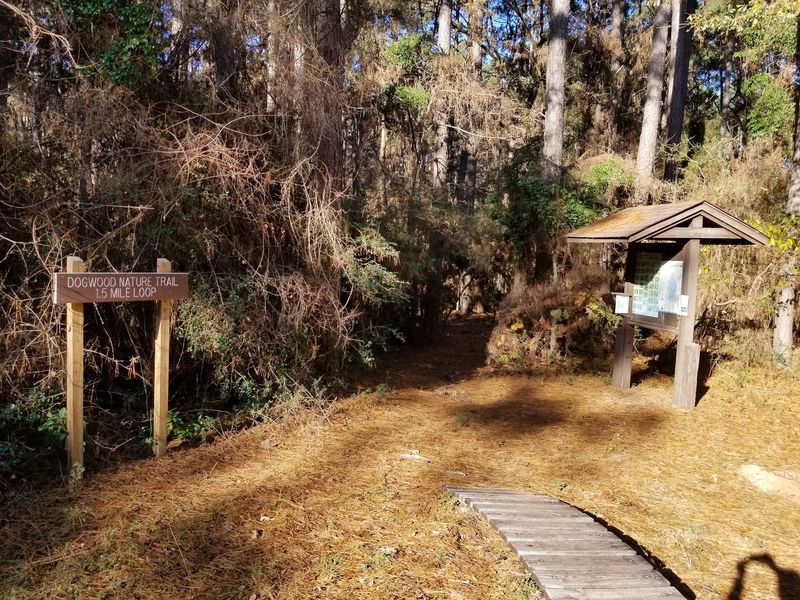 Trails Through Dogwoods and Wildlife