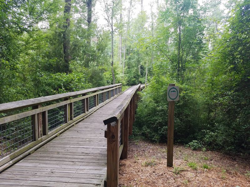Trails Through Wetlands, Forest, And Sandhills