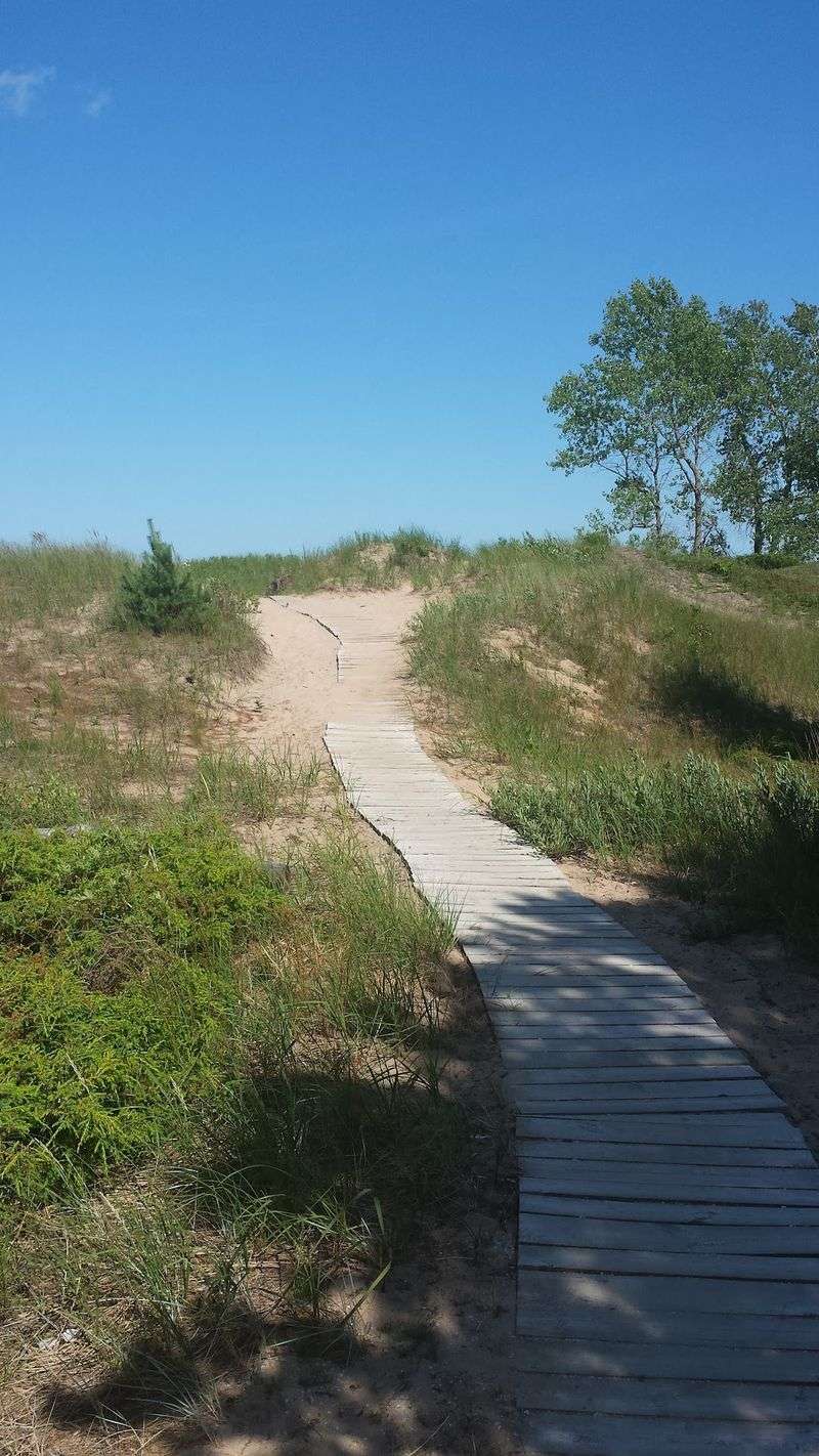 Trails Toward The Dunes