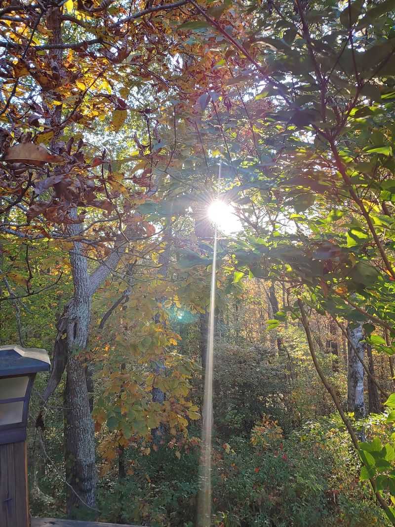 Trails, Waterfalls, and National Parks