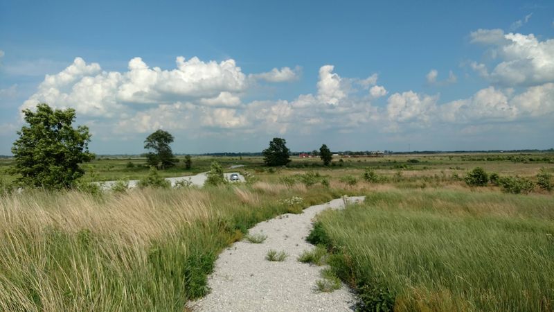 Trails Worth Lacing Up For