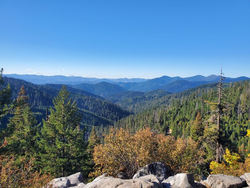 Trails and Big Trees Above the Caves