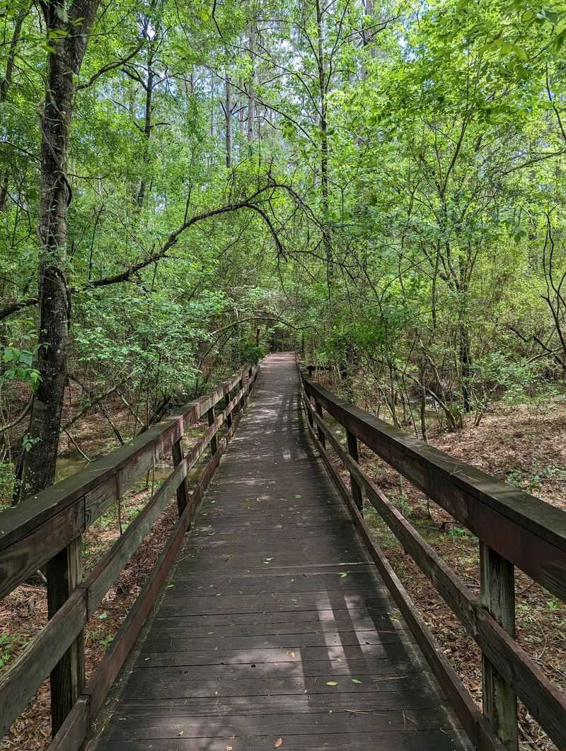 Trails and a Boardwalk Worth the Stroll