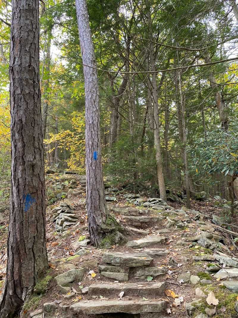 Trails for Every Kind of Walker Trails for Every Kind of Walker