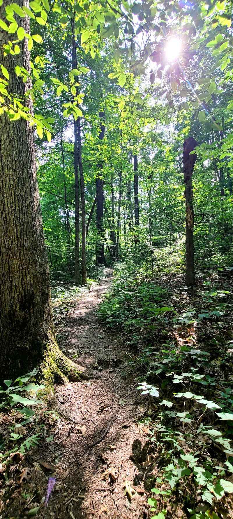 Trails for Every Kind of Walker Trails for Every Kind of Walker