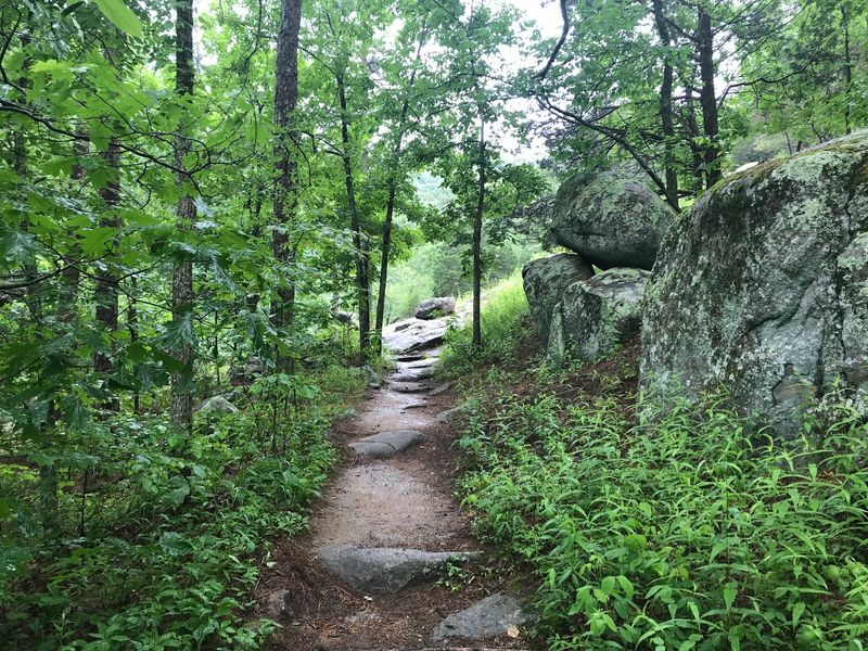 Trails for Every Skill Level