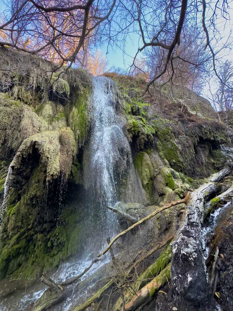 Trickle or Torrent: What to Expect from the Water