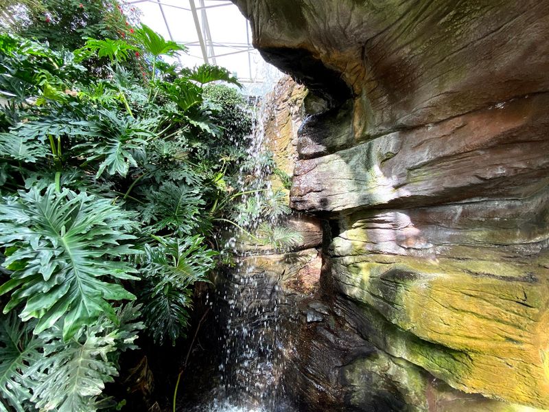Tropical Greenery And A Standout Waterfall Tropical Greenery And A Standout Waterfall