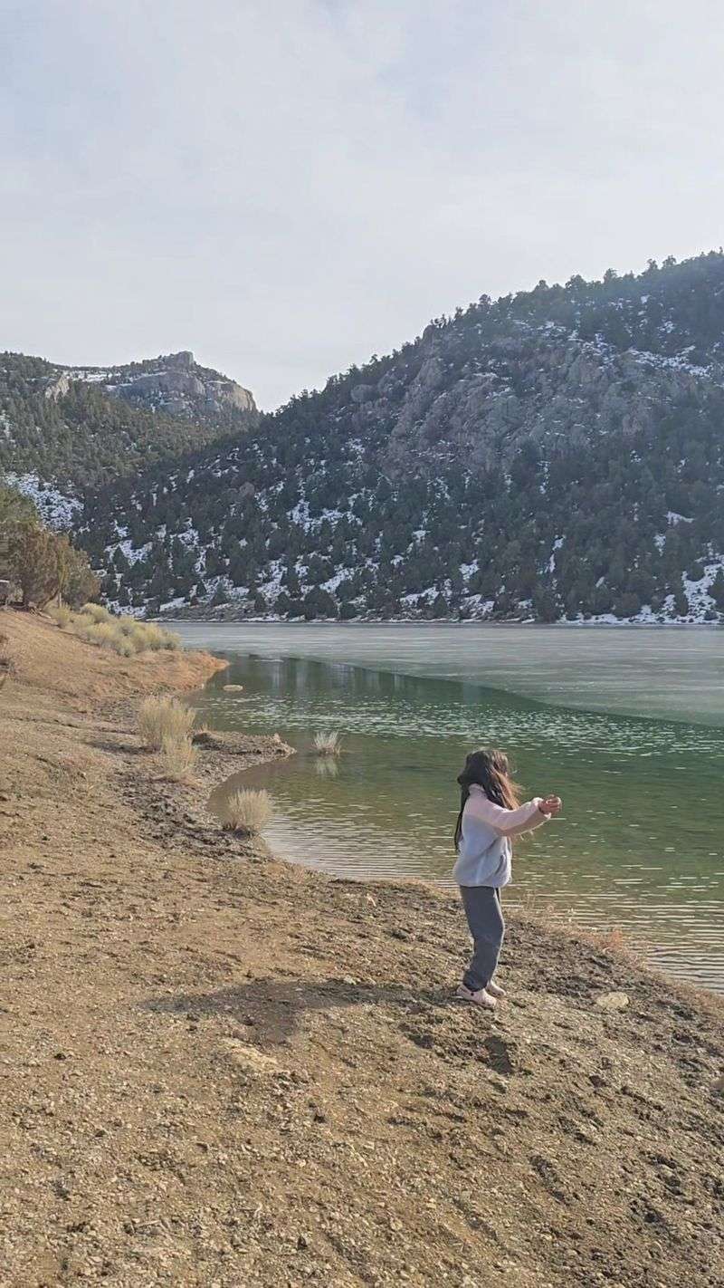 Trout Fishing At The Water's Edge