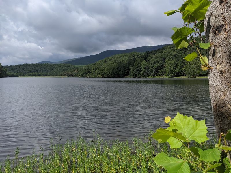 Trout Streams And Quiet Fishing