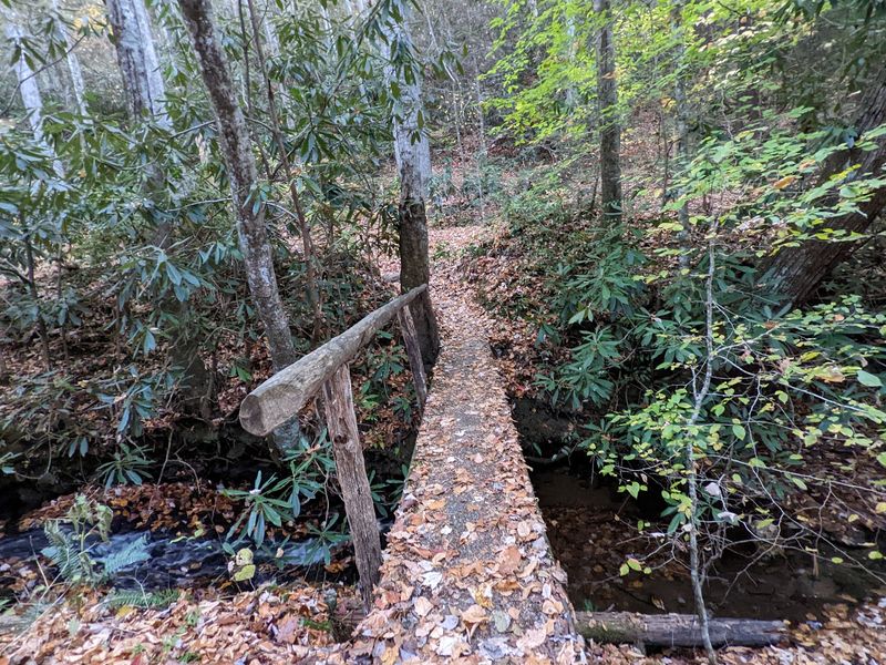 Two Bridges That Make The Walk Fun