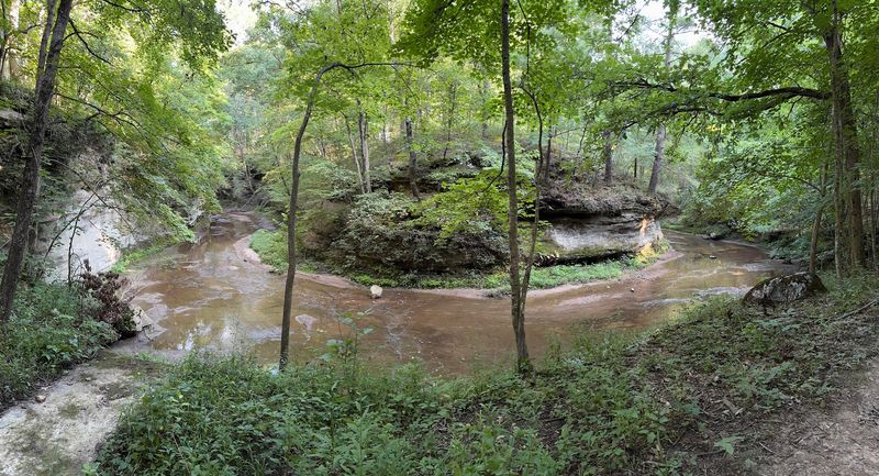 Two Creeks Meeting In The Woods