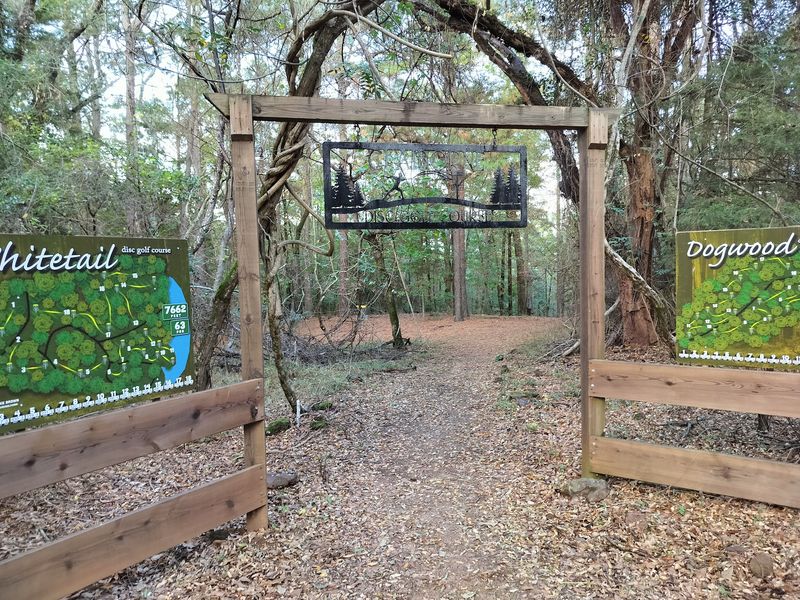 Two Disc Golf Courses Among The Pines Two Disc Golf Courses Among The Pines