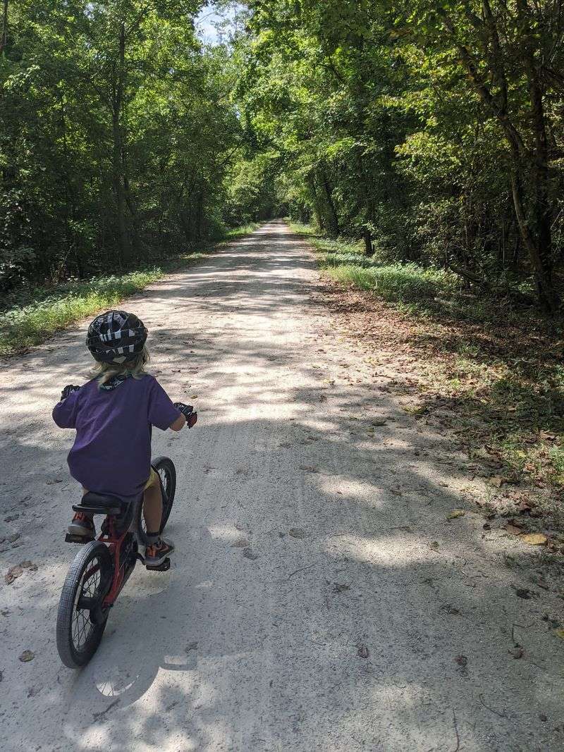 Two Wheels or Two Feet