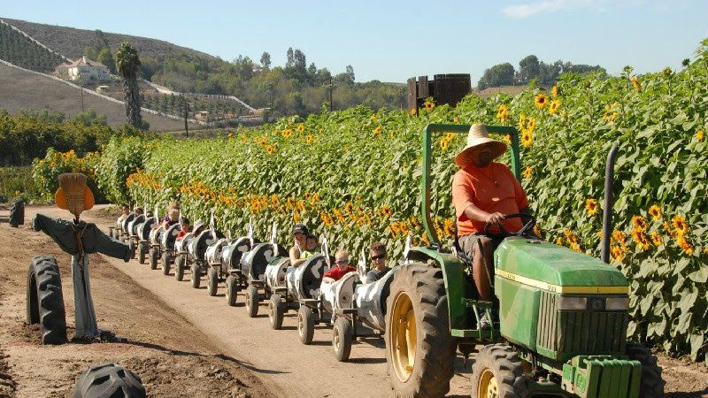 Underwood Family Farms, Moorpark Underwood Family Farms, Moorpark