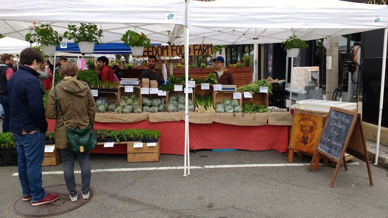 Union Square Farmers Market, Somerville, MA