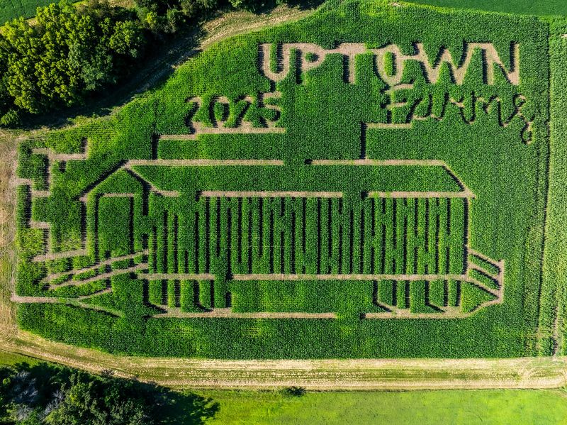 Uptown Farms Pumpkin Patch & Corn Maze, Laclede, MO
