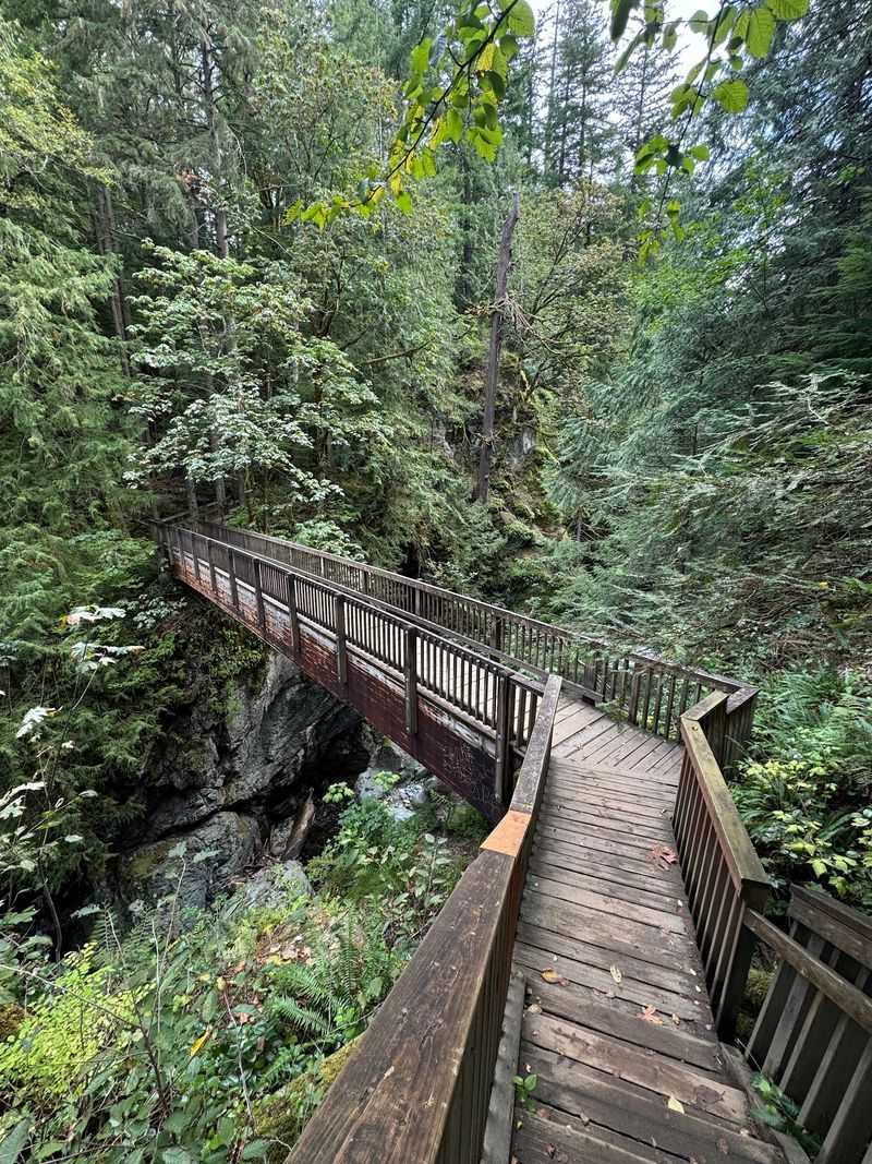 Viewpoints, Decks, and a Sturdy Bridge
