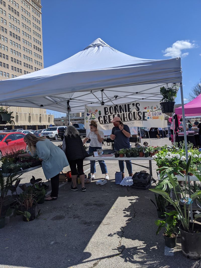 Waco Downtown Farmers Market, Waco, TX