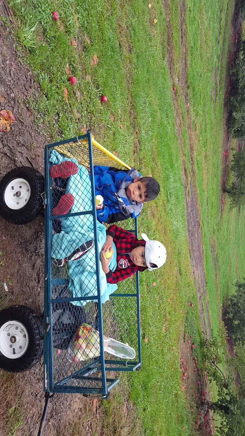 Wagon Rides And Rolling Through The Rows