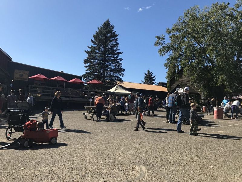 Wagon Rides And Weekend-Only Fun