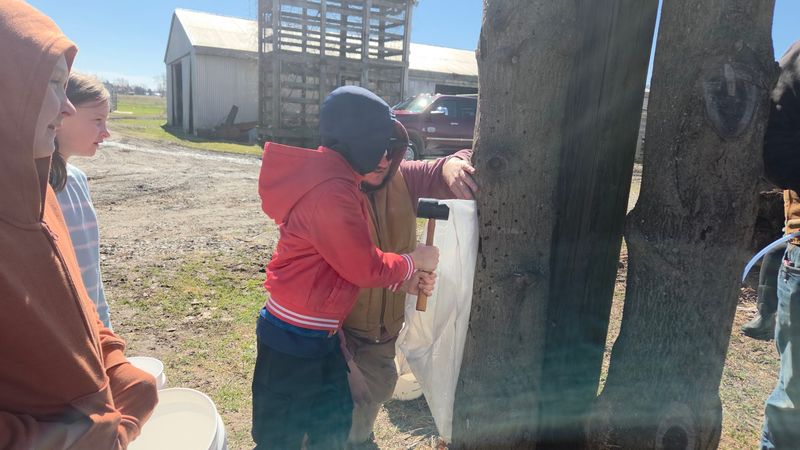 Wakeman Maple Farms, Wakeman, OH