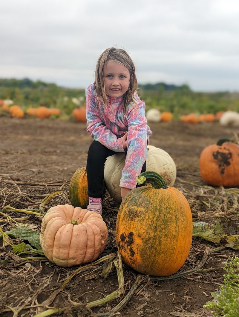 Waldvogel's Farm, Juneau, WI