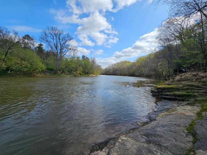 Walking the Yadkin River Bank