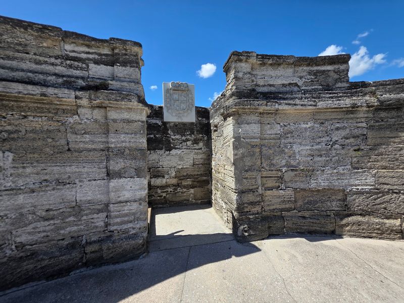 Walls Made From Ancient Seashells