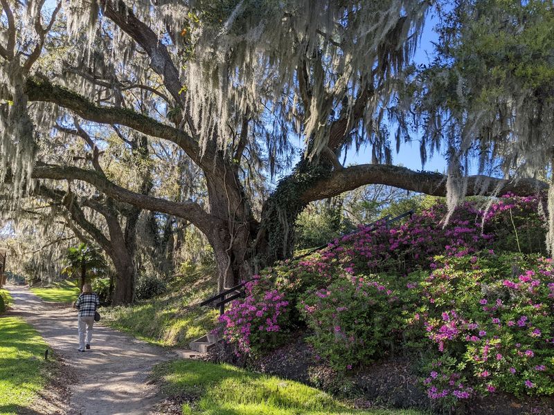 Wandering The Historic Gardens And Grounds